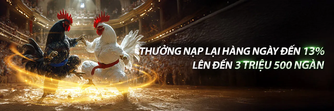 Nền tảng cá cược trực tuyến Kubet11 với các ưu điểm vượt trội